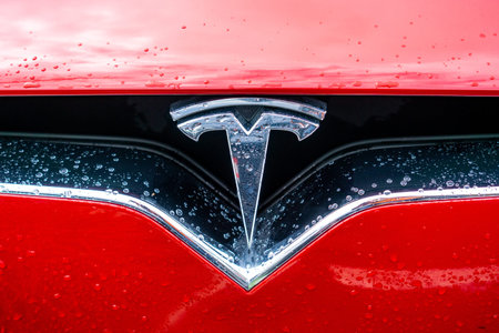 March 2, 2019 Mountain View / CA / USA - Tesla logo on a Tesla Model X car; Tesla Motors, Inc. is an...