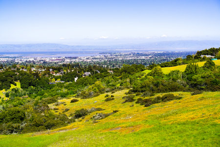 View towards Redwood City and Menlo Park; hills and valleys covered in green grass and wildflowers...