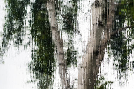 Pouring rain covering the window during a storm; blurred tree shape visible in the background;...