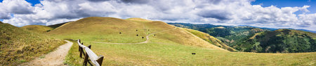 Hiking trail through the hills of south San Francisco bay area; cattle grazing on the hillsides; San...