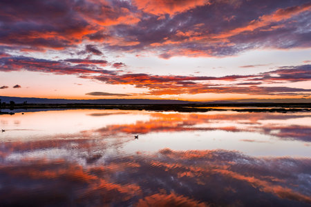Sunset views of the tidal marshes of Alviso with colorful clouds reflected on the calm water surface, Don Edwards San Francisco Bay National Wildlife Refuge, San Jose, Californiaの写真素材