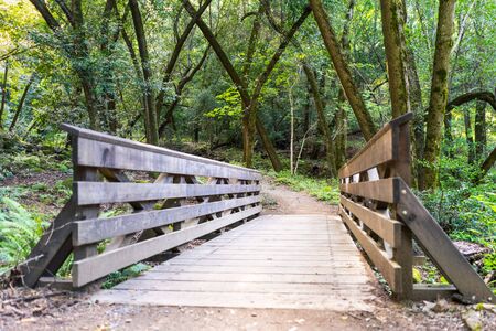 Wooden bridge on a hiking trail in the forests of Santa Cruz mountains, Sanborn County Park, Californiaの写真素材