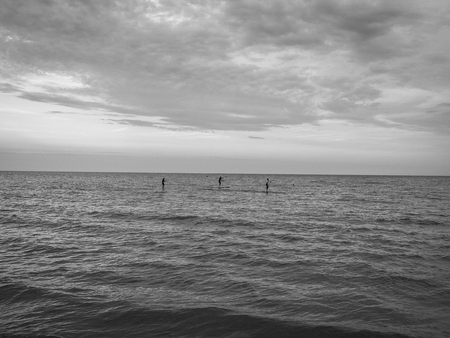 Surfers in the afternoonの写真素材