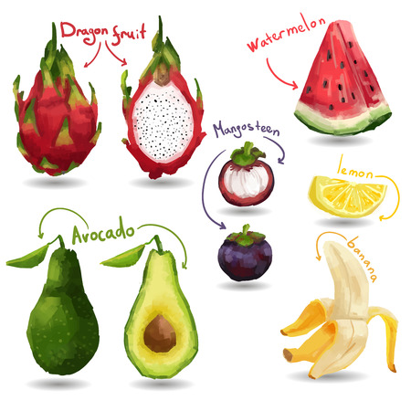Set of tropical fruits. Watercolor style. Isolated vectorのイラスト素材