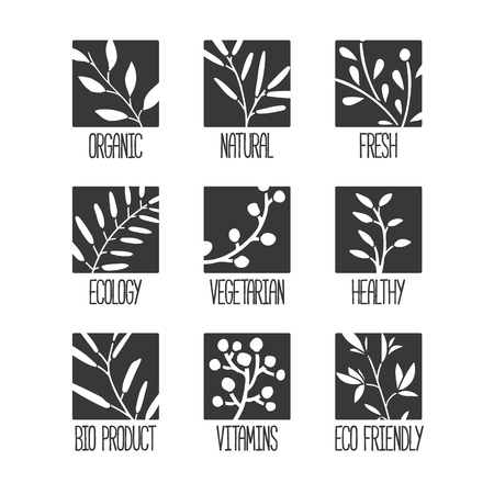 Set of logos, icons, labels, stickers or stamps. Silhouettes of leaves and plants. Monochrome square shapes. Vector illustrationのイラスト素材