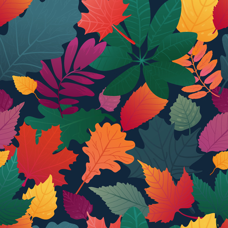 A Seamless background with autumn leaf pattern. Fall herb, twig on black background.  Oak and maple leaf gradient color. Vectorのイラスト素材