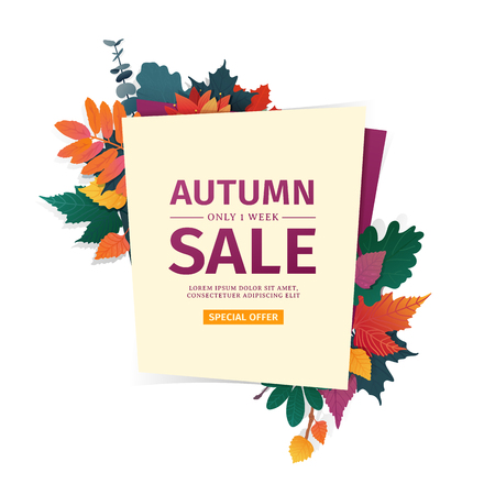Design banner with autumn sale logo. Discount card for fall season with white frame and herb. Promotion offer with autumnal  oak plant, maple leave and flowers decoration. Vectorのイラスト素材