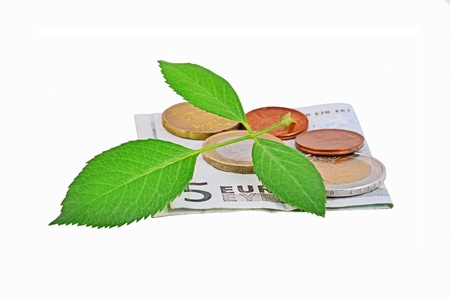 Euro money and plant, isolated on white backgroundの写真素材