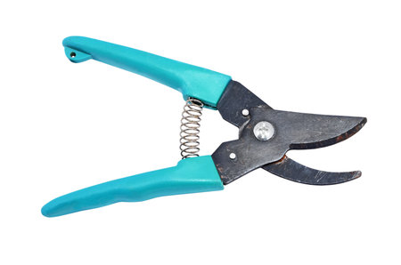 Blue garden pruner, isolated on a white background