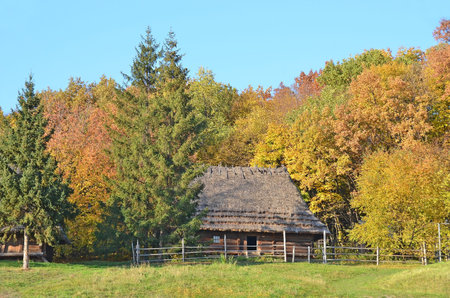 Ancient traditional ukrainian forest carpatian cottage with a straw roofのeditorial素材