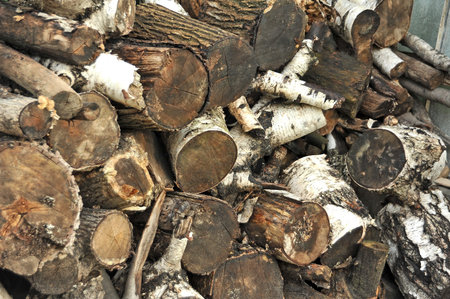 Stacked log from natural birch tree timber