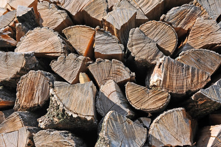 Stacked log from natural birch tree timber
