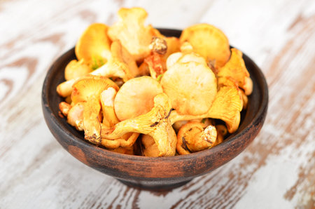 Chanterelle mushroom in clay bowl on wooden backgroundの写真素材