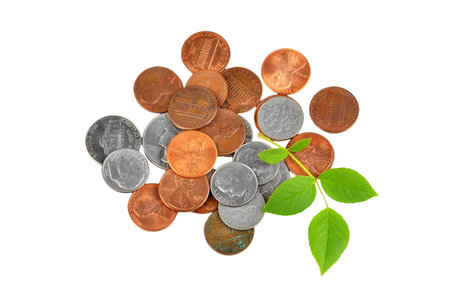 Coin and plant, isolated on white background