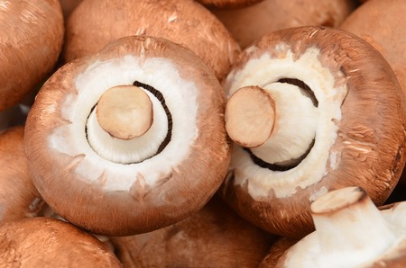 Fresh, raw and whole champignon (True mushroom)の写真素材