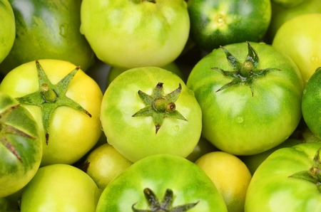 Some whole fresh green tomato, close upの写真素材
