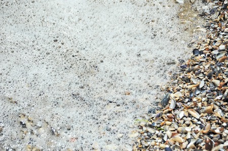 Sea surf with foam and shell on shoreの写真素材