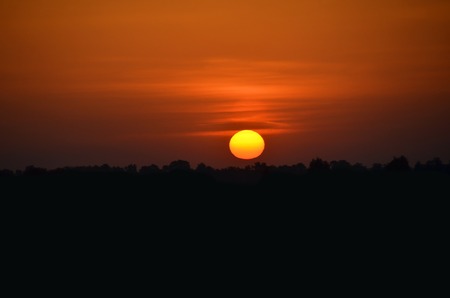 Beautiful sunset and tree silhouette over forestの写真素材