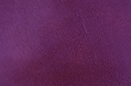 Close up of natural violet leather backgroundの写真素材