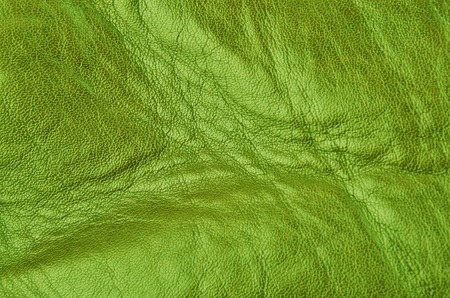 Close up of natural green leather backgroundの写真素材