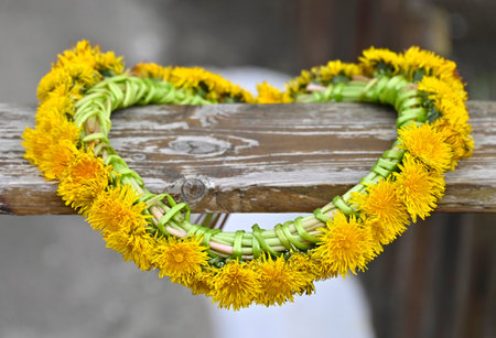 Traditional handmade wreath from fresh yellow dandelionの写真素材
