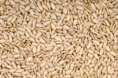 Shelled sunflower seeds as natural food background