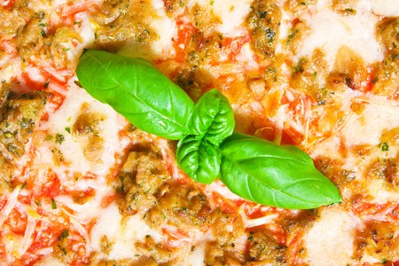 Pizza background with a basil leaf in the centerの写真素材