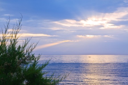Sunrise over the sea with trees on foreground and a boat on the waterの写真素材