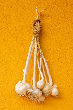 Dried garlic bulbs nailed to a yellow wallの写真素材
