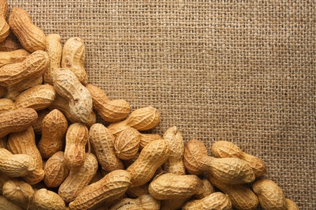 Border of peanuts on burlapの写真素材