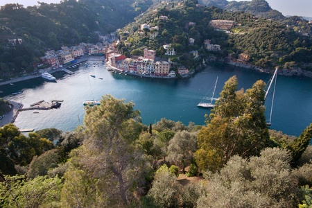 Aerial view of Portofino bay, Liguria, Italy. Trees on foregroundの写真素材