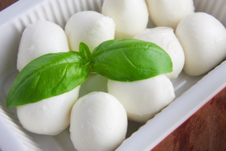Fresh italian mozzarella and a basil leafの写真素材