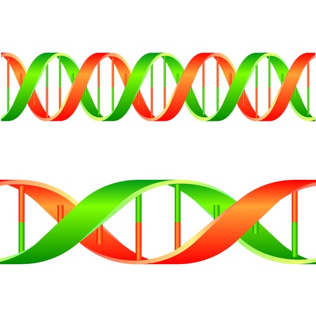 illustration of a dna string isolated on white backgroundのイラスト素材