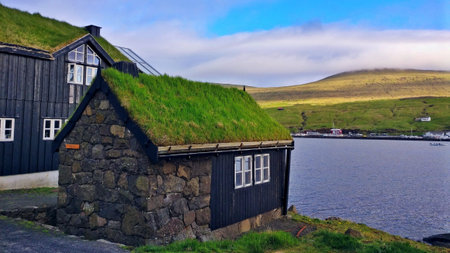 typical faroese houses with green roofs in the early summer on the Faroe Islands