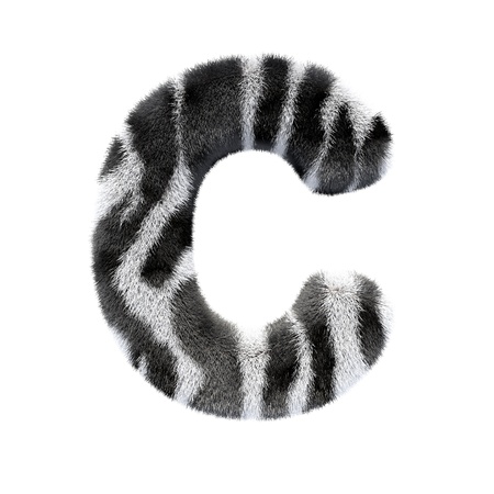 letters zebraの写真素材