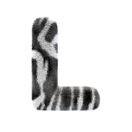 letters zebraの写真素材