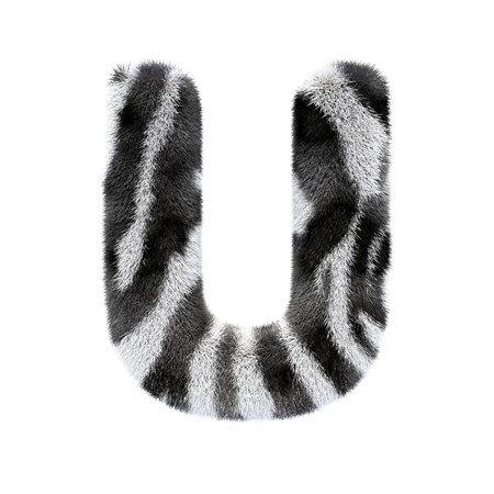 letters zebraの写真素材