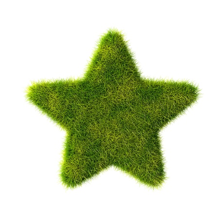 Illustration of star made from grass の写真素材