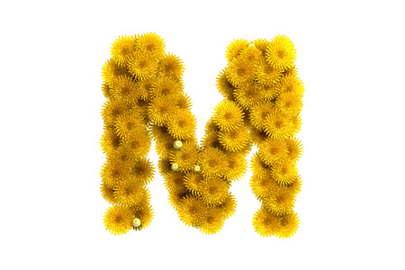 Yellow dandelion letter, isolated on white background.の写真素材