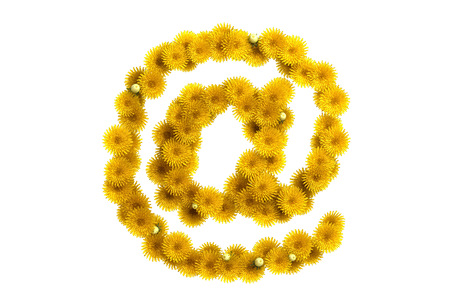 Yellow dandelion symbol, isolated on white background.の写真素材