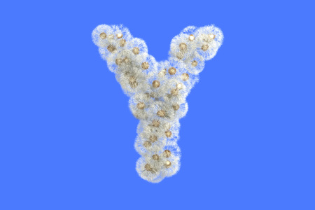 Dandelion letter  with seeds on blue background.の写真素材