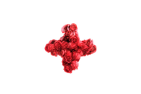 Red roses symbol, isolated on white background.の写真素材