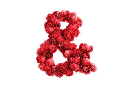 Red roses symbol, isolated on white background.の写真素材