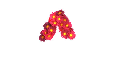 Red flower symbol isolated on white backround.の写真素材