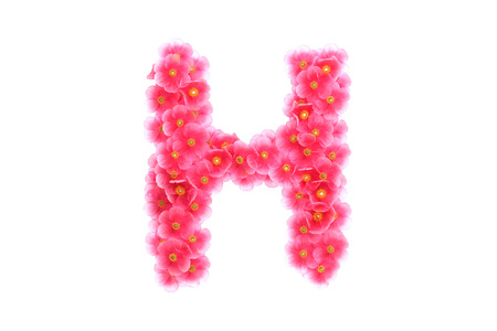 Pink violets letter, isolated on white backgroundの写真素材