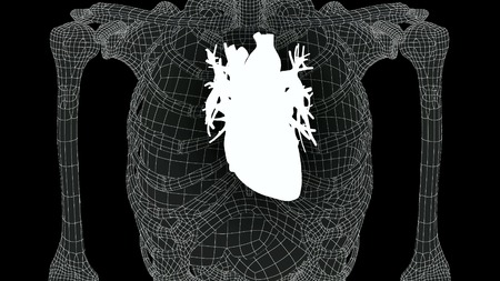 xray scan internal organs illustrationの写真素材