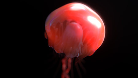 Jellyfish underwater going to the sun isolated on black 3d illustrationの写真素材