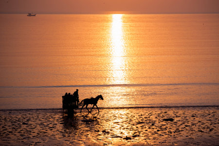 Horse Running by the Sea.の写真素材