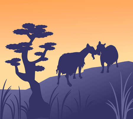 Two goats greeting each other on a hilltop の写真素材