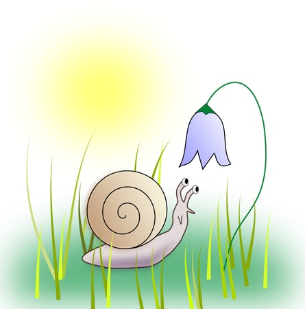 A snail looking at a bluebell の写真素材